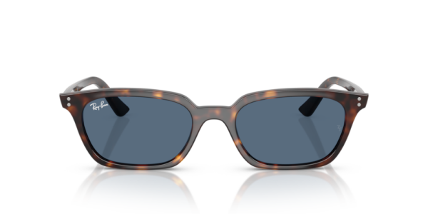 Ray-Ban RB4456 135980 .53 Güneş Gözlüğü