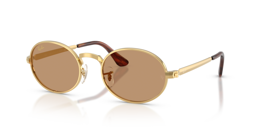 Ray-Ban RB 3931 001/53 .54 Güneş Gözlüğü
