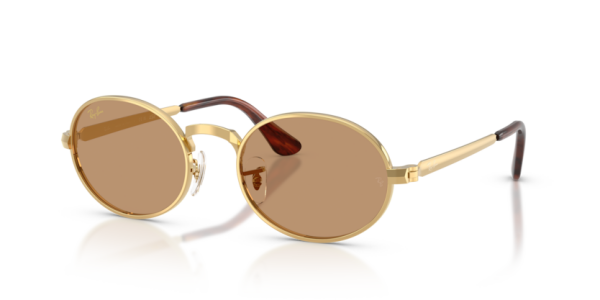 Ray-Ban RB 3931 001/53 .54 Güneş Gözlüğü