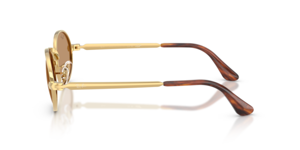 Ray-Ban RB 3931 001/53 .54 Güneş Gözlüğü