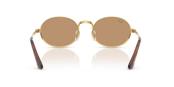 Ray-Ban RB 3931 001/53 .54 Güneş Gözlüğü
