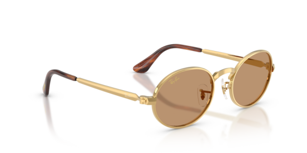 Ray-Ban RB 3931 001/53 .54 Güneş Gözlüğü