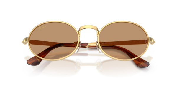 Ray-Ban RB 3931 001/53 .54 Güneş Gözlüğü