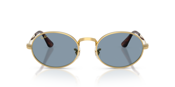 Ray-Ban RB 3931 001/56 .54 Güneş Gözlüğü