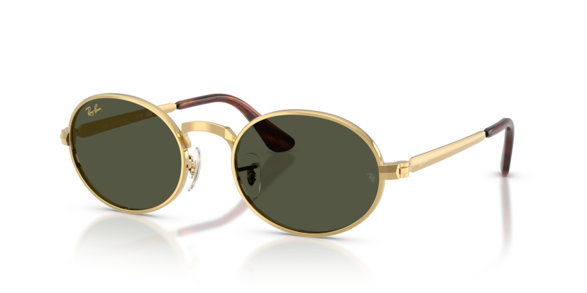Ray-Ban RB 3931 001/31 .54 Güneş Gözlüğü