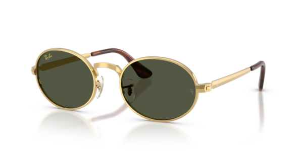 Ray-Ban RB 3931 001/31 .54 Güneş Gözlüğü