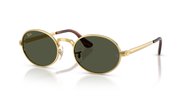 Ray-Ban RB 3931 001/31 .54 Güneş Gözlüğü