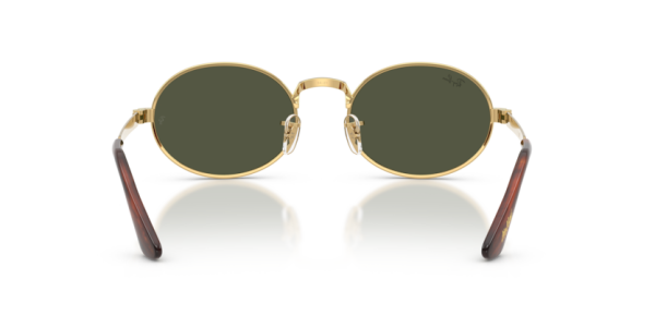 Ray-Ban RB 3931 001/31 .54 Güneş Gözlüğü