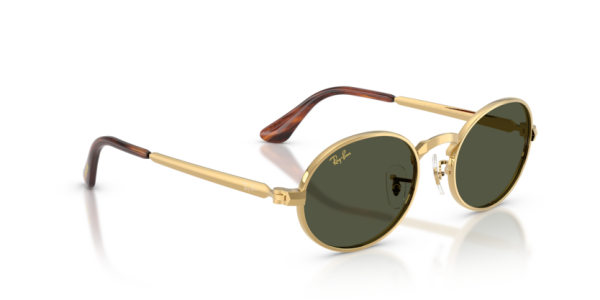 Ray-Ban RB 3931 001/31 .54 Güneş Gözlüğü