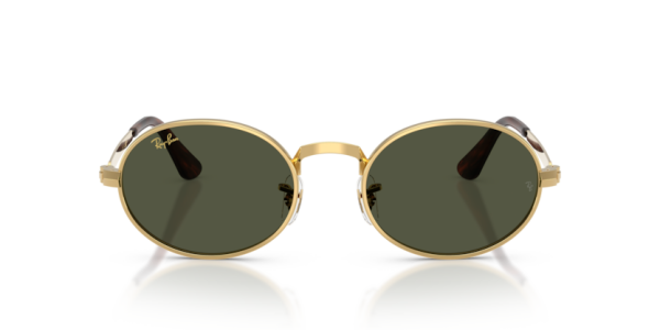 Ray-Ban RB 3931 001/31 .54 Güneş Gözlüğü