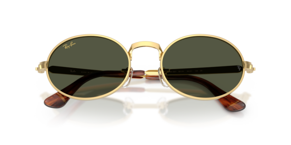 Ray-Ban RB 3931 001/31 .54 Güneş Gözlüğü