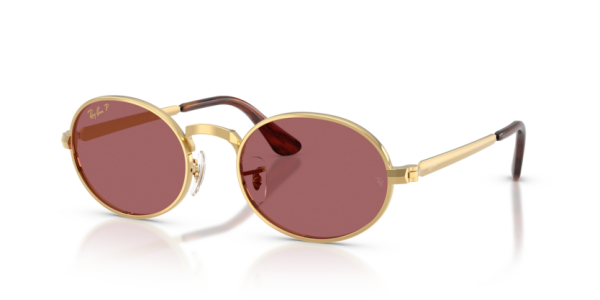 Ray-Ban RB 3931 001/AF .54 Güneş Gözlüğü