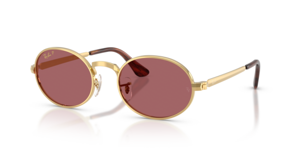 Ray-Ban RB 3931 001/AF .54 Güneş Gözlüğü