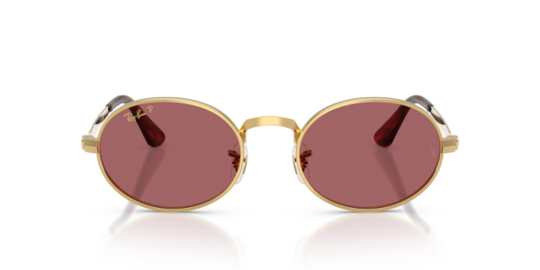 Ray-Ban RB 3931 001/AF .54 Güneş Gözlüğü