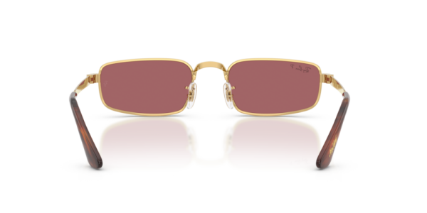 Ray-Ban RB 3927 001/33 .54 Güneş Gözlüğü