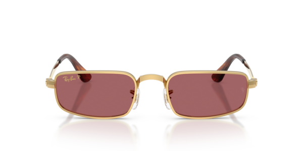 Ray-Ban RB 3927 001/33 .54 Güneş Gözlüğü