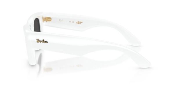 Ray-Ban RB 4940 671/87 .50 Güneş Gözlüğü