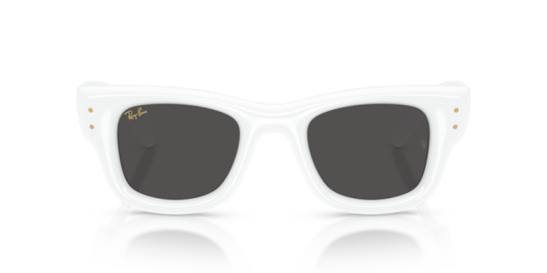 Ray-Ban RB 4940 671/87 .50 Güneş Gözlüğü