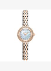 Cerruti CIWLG0073004 Saat