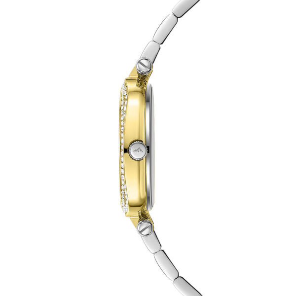 Roche Montre RML7002-02 Kadın Kol Saati