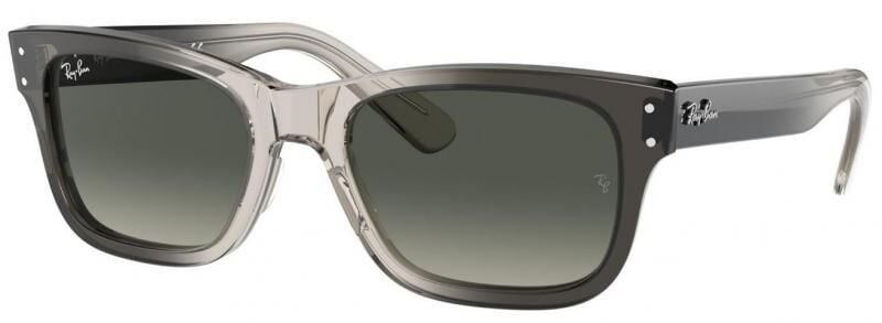 Ray-Ban RB 2283 134071 .52 Güneş Gözlüğü