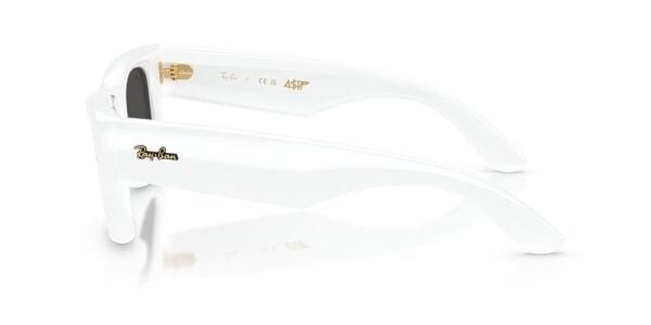 Ray-Ban RB 4940 671/87 .47 Güneş Gözlüğü