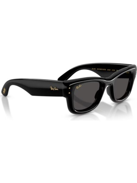 Ray-Ban RB 4940 601/87 .47 Güneş Gözlüğü