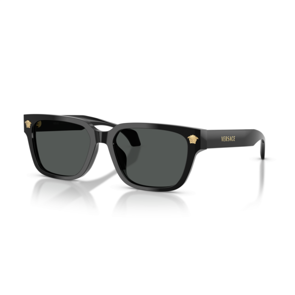 Versace VE 4513D GB1/87 .56 Güneş Gözlüğü