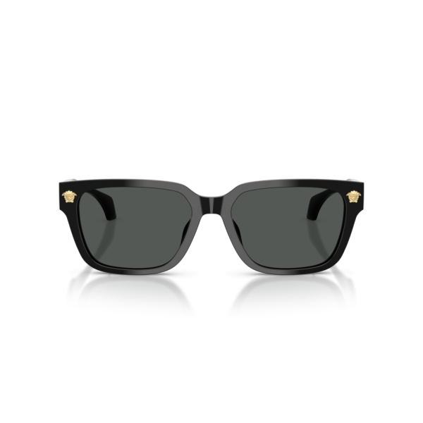 Versace VE 4513D GB1/87 .56 Güneş Gözlüğü