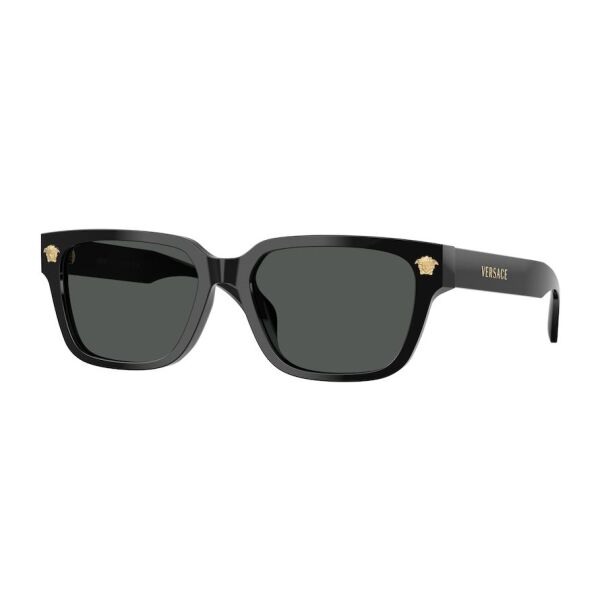 Versace VE 4513D GB1/87 .56 Güneş Gözlüğü