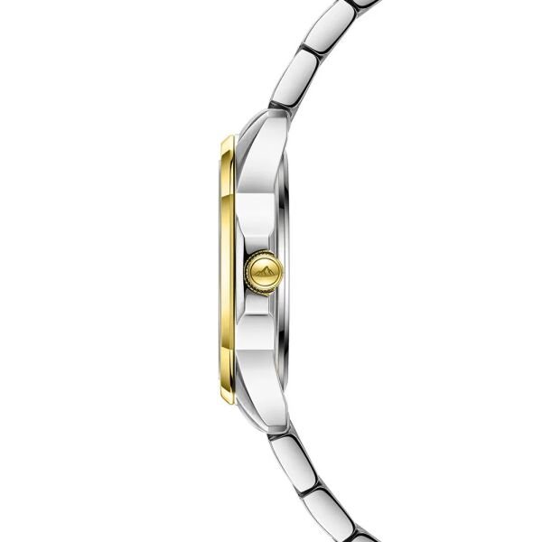 Roche Montre RML5007-03 Kadın Kol Saati