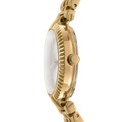 Dkny DK1L042M0055 Kol Saati