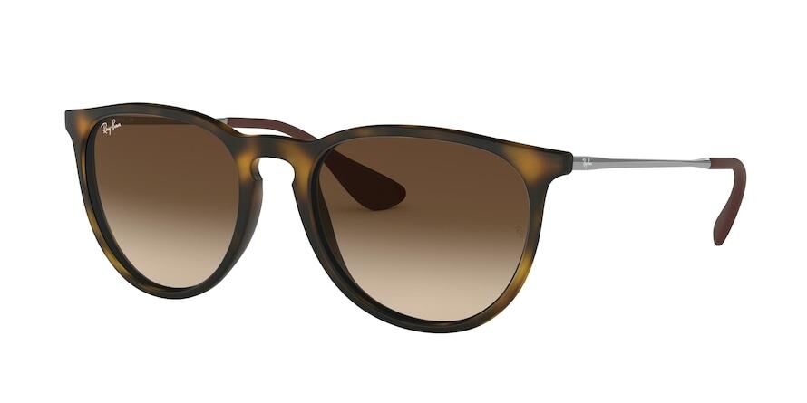 Ray-Ban RB 4171 86513 .54 Güneş Gözlüğü