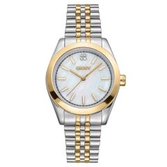 Dkny DK1L029M0075 Kol Saati