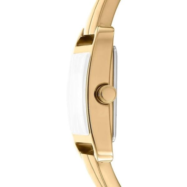 Dkny DK1L005M0145 Kol Saati