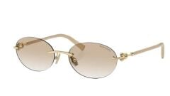Tiffanıy TF 3104D 617811 .56 Güneş Gözlüğü