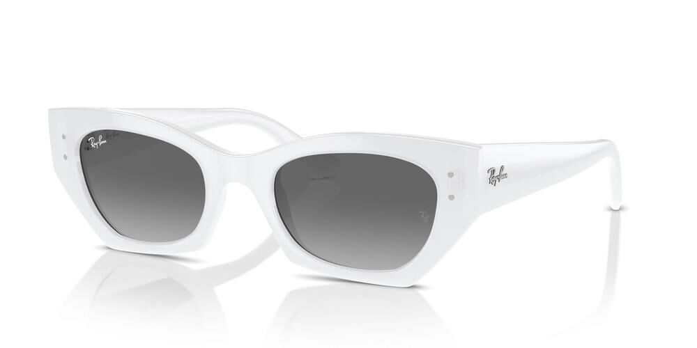 Ray-Ban RB4430 675911 .49 Güneş Gözlüğü
