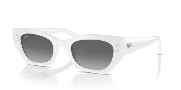Ray-Ban RB4430 675911 .49 Güneş Gözlüğü