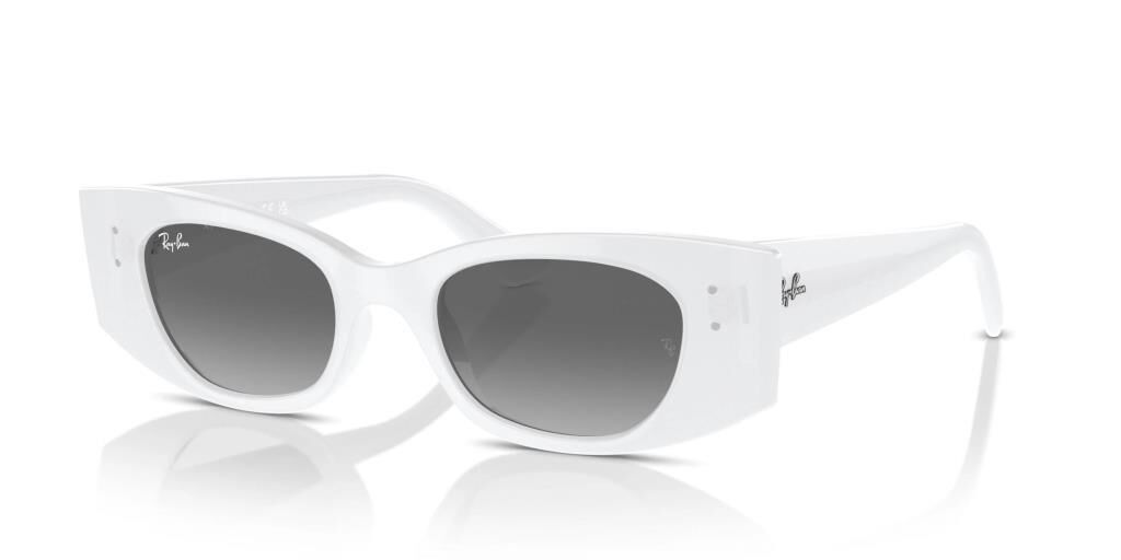 Ray-Ban RB4427 675911 .49 Güneş Gözlüğü