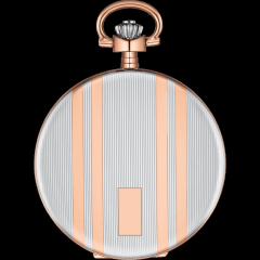 Tissot T8624102901300 Savonette Cep Saati