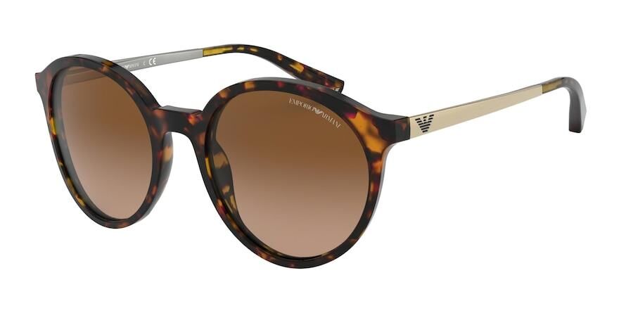 Emporio Armani EA 4134 576513 .53 Güneş Gözlüğü