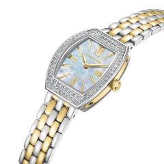 Cerruti CIWLG0052003 Kadın Kol Saati