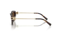 Tiffanıy TF 4231U 80153G .53 Güneş Gözlüğü