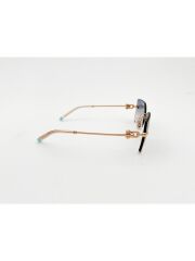 Tiffanıy TF 3088 610516 .59 Güneş Gözlüğü