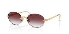 Ray-Ban RB 3929 001/8H .54 Unisex Güneş Gözlüğü