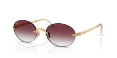 Ray-Ban RB 3929 001/8H .54 Unisex Güneş Gözlüğü