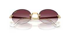 Ray-Ban RB 3929 001/8H .54 Unisex Güneş Gözlüğü