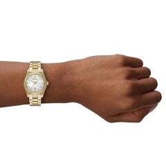 Emporio Armani AR11657 Kol Saati