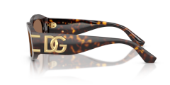 Dolce Gabbana DG 4502 502/73 .55 Güneş Gözlüğü