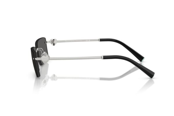 Tiffanıy TF 3108B 6001S4 .60 Güneş Gözlüğü